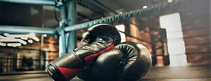 Photo 3 Private Boxing Lesson