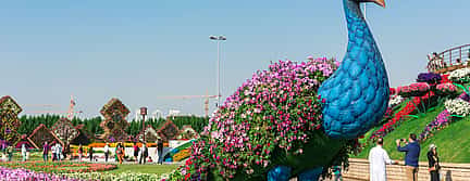 Photo 3 Dubai Miracle Garden Entry Pass