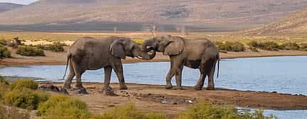 Photo 2 For Couples: Private Sunset Safari at Aquila Game Reserve