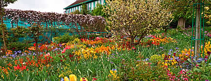 Photo 2 Giverny-Claude Monet's House and Gardens Private Trip