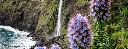 Photo 2 Porto Moniz Volcanic Pools 4x4 Jeep Tour