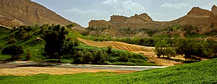 Photo 2 Full-day Tour to Al Ain Oasis from Abu Dhabi