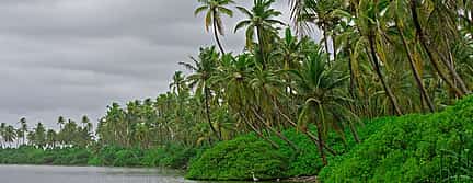 Foto 3 Ein Einblick in den Meeresschutz auf den Malediven