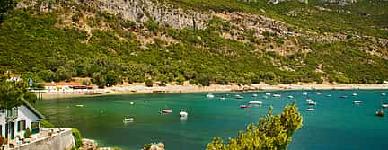 Φωτογραφία 3 Dolphin Watching and Jeep Safari