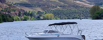 Foto 2 Romántico paseo en barco privado con cata de vino de Oporto