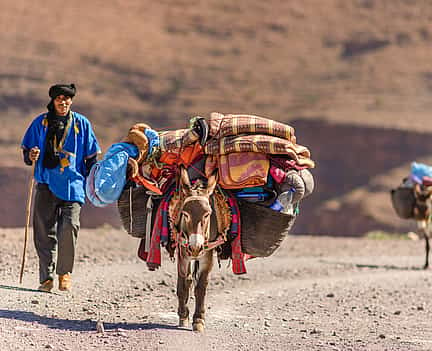 Foto 2 Excursión de un día al valle del Ourika con visita a un pueblo bereber desde Marrakech