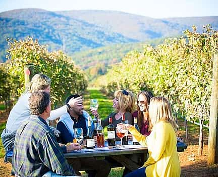 Foto 2 Weintour zu Pferd und ein chilenisches Grillfest