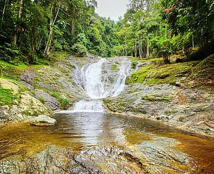 Foto 2 Cameron Highlands Tour