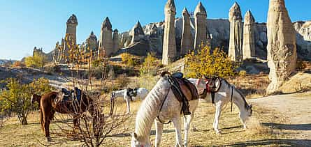 Foto 2 Fabulosa excursión de 2 días a Capadocia desde Alanya