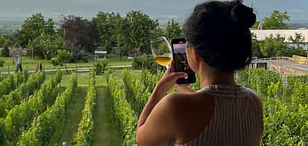 Photo 2 Kakjeti and Sighnaghi Full-day Small Group Tour with Wine Tasting