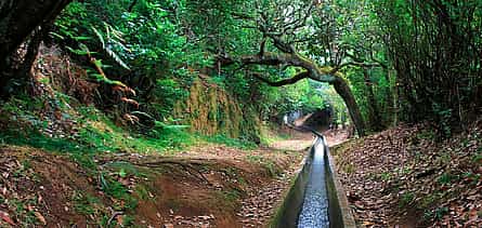 Photo 2 Ribeiro Frio, Portela Full-day Walking Tour
