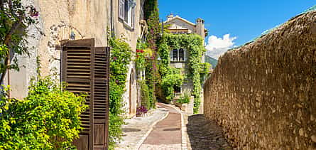 Фото 2 Private Winery and St Paul De Vence Tour