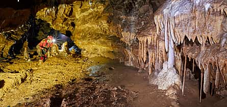 Photo 2 "Blower under the Oak" Cave