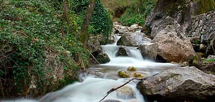 Photo 2 Sapanca Lake and Masukiye Full-day Tour from Istanbul