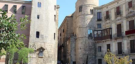 Photo 2 Small Group Barcelona Walking and Sailing Guided Tour