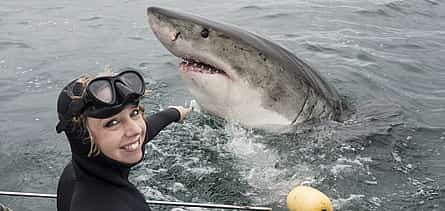 Foto 2 Buceo en jaulas de tiburones desde Ciudad del Cabo