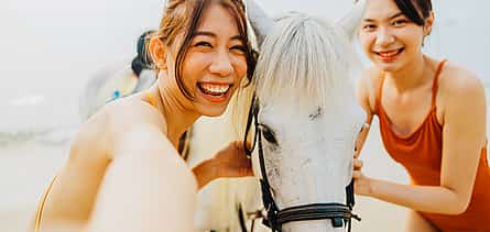 Photo 2 Horses in the Sand Tour
