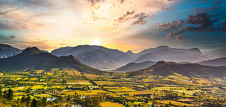 Photo 2 Private Half-day Tour with Cape Winelands, Stellenbosch