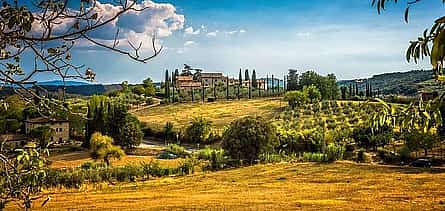 Photo 2 Carmignano Half-day Private Tour: Home of the First Cabernet-Sauvignon in Tuscany