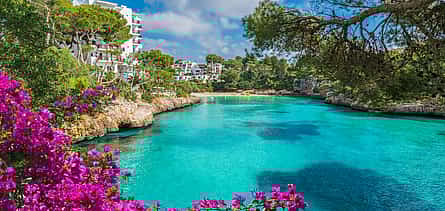 Photo 2 Half-day Private Sailing Tour in Palma de Mallorca