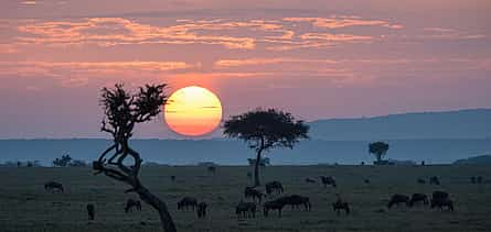 Photo 2 South Luangwa Morning Safari