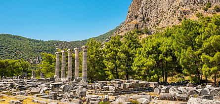 Photo 2 Priene, Miletos and Didyma Private Tour