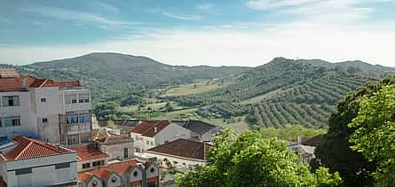 Foto 2 Private Tour durch die Weinregion Setubal ab Lissabon