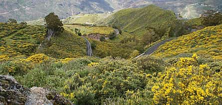 Photo 2 Full-day Trip to the Peaks of Gran Canaria