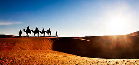 Photo 2 Desert Safari Dubai with BBQ Dinner and Belly Dance Show