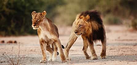 Foto 2 Excursión privada de 2 días al safari Selous con vuelo