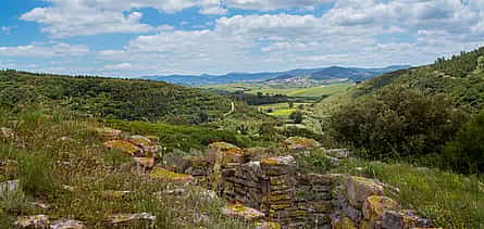 Fotografija 2 Wellington Lines Walking Tour