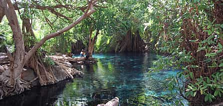 Photo 2 Kikuletwa (Chemka) Hot Springs Full-day Tour from Arusha