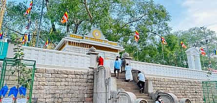 Фото 2 One Day Tour to Historical City Anuradhapura from Colombo