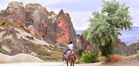 Photo 2 Camel Tour at Any Time
