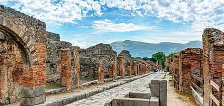 Foto 2 Excursión de un día a Pompeya y el Vesubio desde Nápoles