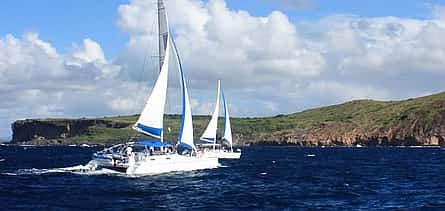 Photo 2 Catamaran Adventure to Îlot Gabriel, Ile Plate & Coin De Mire