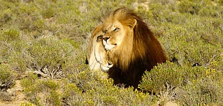 Photo 2 For Couples: Overnight Stay at Tankwa Chalet with Complimentary Safaris