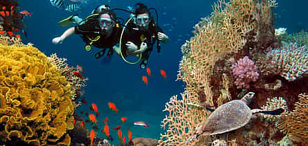 Photo 2 Diving Experience in Antalya