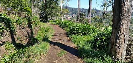 Fotoğraf 2 Paradise Valley Half-day Walking Tour