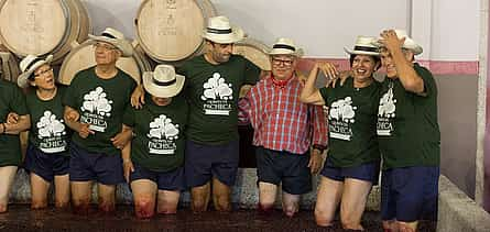 Foto 2 Excursión en grupo reducido por el valle del Duero con paseo en barco y cata de vinos de viñedos