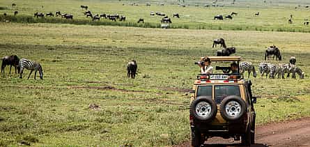 Photo 2 Full-day Ngorongoro Crater Tour