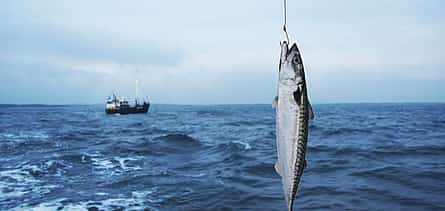 Photo 2 Fishing Tour from Alanya