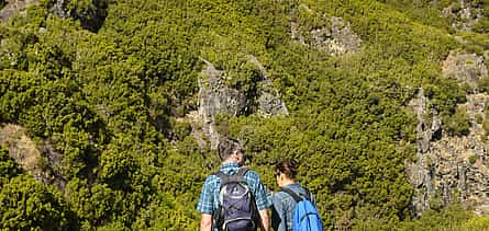 Foto 2 Rabaçal, Cascada del Risco y 25 Fuentes - Excursión a pie de día completo