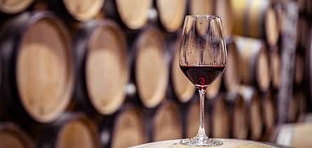 Photo 2 Small Group Arrábida Wine Full-day Tour