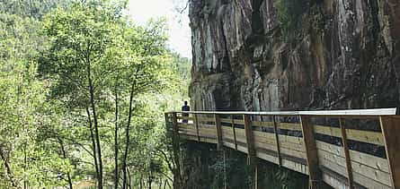 Photo 2 Hike the Paiva Walkways Tour