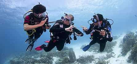 Foto 2 Curso de rescate de buceo en Hurghada