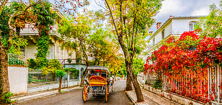 Foto 2 Istanbul Princess Island Ganztagestour mit Mittagessen