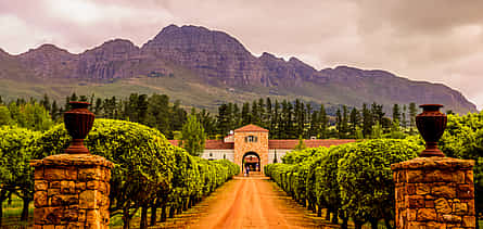 รูปภาพ 2 Private Full-day Stellenbosch or Franschhoek or Paarl Wine Tour from Cape Town
