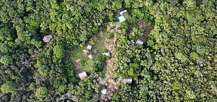 Foto 2 Retiro Ayahuaska de 11 días en Perú