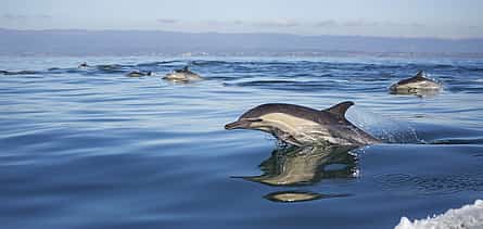 Photo 2 Overnight in Luxury Yacht Charter Private Tour